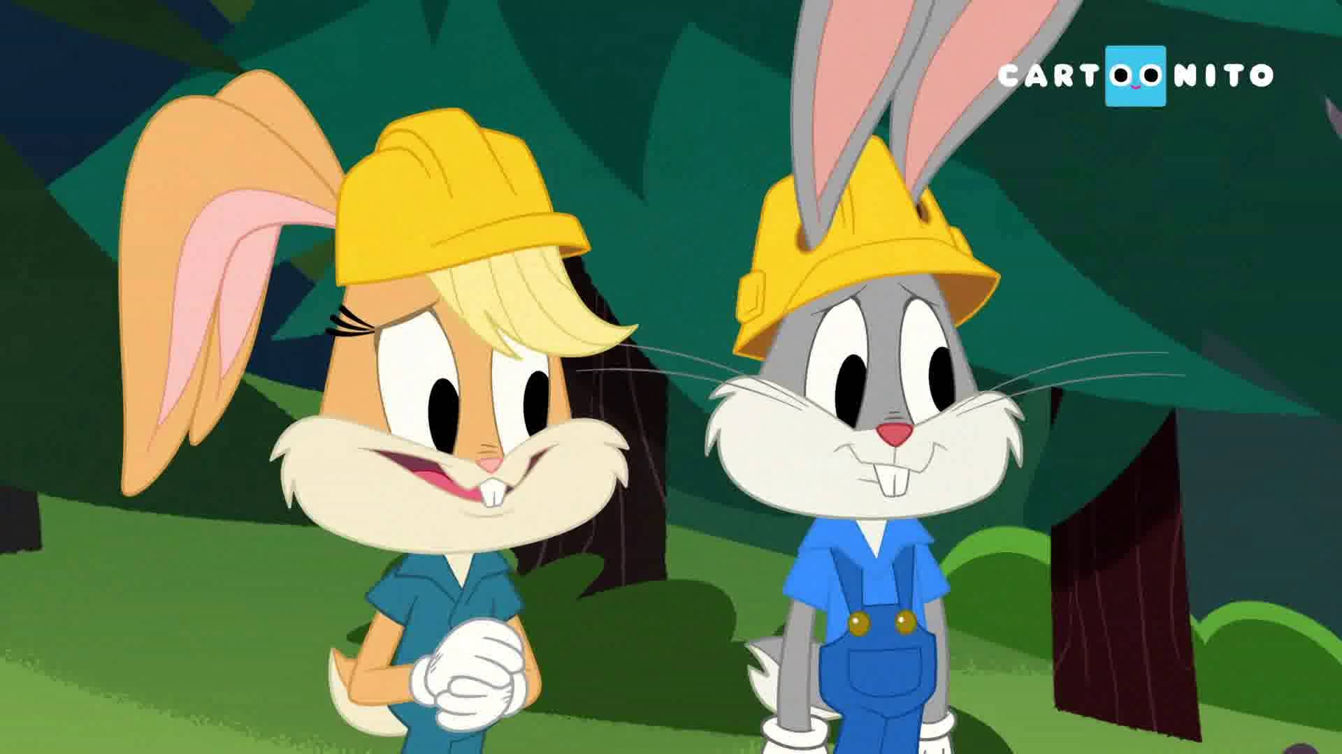 Bugs Bunny Yapı Ustaları S01 B13